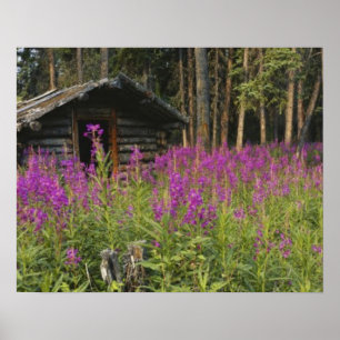Canada, Yukon, Ross River gebied, Verlaten hut Poster