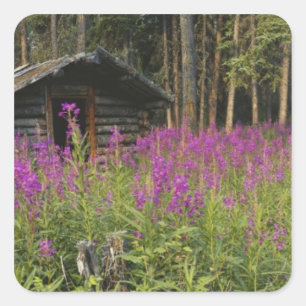 Canada, Yukon, Ross River gebied, Verlaten hut Vierkante Sticker