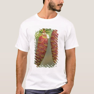 Canada, Yukon, Zwarte Spar Kegel T-shirt
