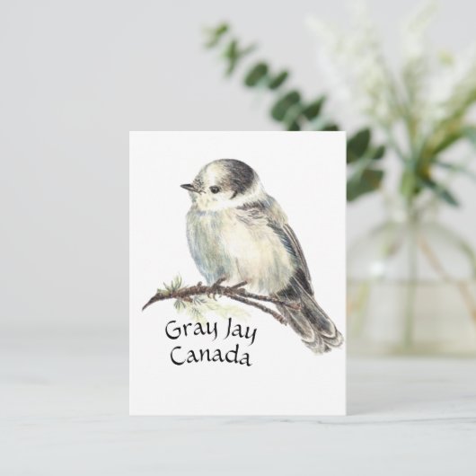 Canada's National Bird Grey Gray Jay, Whiskey Jack Briefkaart (Staand voorkant)