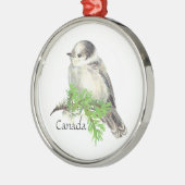 Canada's National Bird Grey Gray Jay, Whiskey Jack Metalen Ornament (Links)