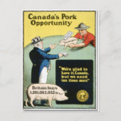Canada's Pork Opportunity Briefkaart (Voorkant)