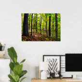 Canadees bos op zonlicht poster (Thuiskantoor)