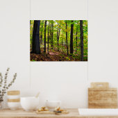 Canadees bos op zonlicht poster (Keuken)