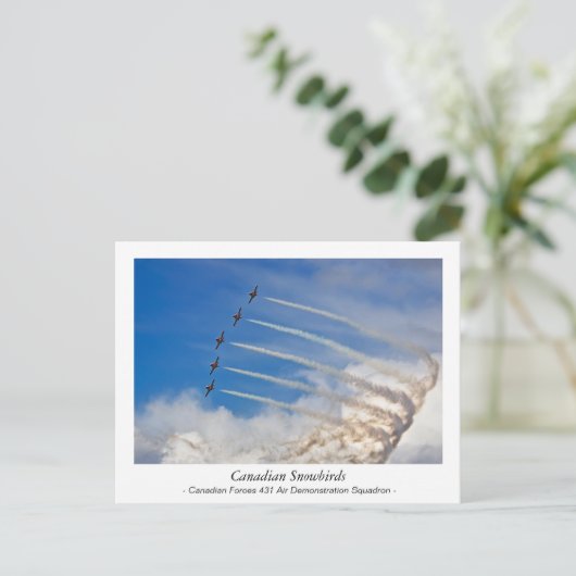 Canadees briefkaart Snowbird (Staand voorkant)