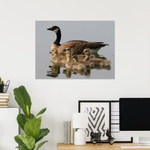 Canadees gans poster