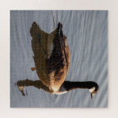 Canadees gans zwemmen op het meer legpuzzel (Horizontaal)