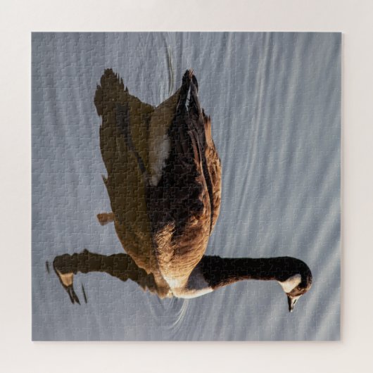 Canadees gans zwemmen op het meer legpuzzel (Horizontaal)