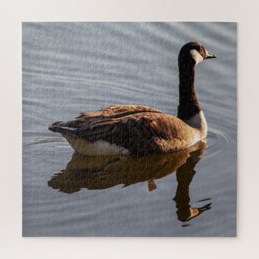Canadees gans zwemmen op het meer legpuzzel (Verticaal)