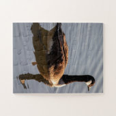 Canadees gans zwemmen op het meer legpuzzel (Horizontaal)