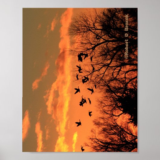 Canadees Gese Sunset Silhouette Wood Poster. Woo Poster (Voorkant)