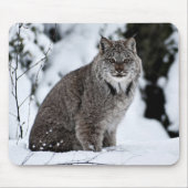 Canadees Lynx in de sneeuw Muismat (Voorkant)