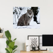 Canadees Lynx in de sneeuw Poster (Thuiskantoor)