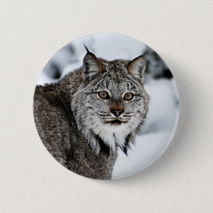 Canadees Lynx in de sneeuw Ronde Button 5,7 Cm