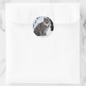 Canadees Lynx in de sneeuw Ronde Sticker (Tas)