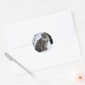 Canadees Lynx in de sneeuw Ronde Sticker (Envelop)