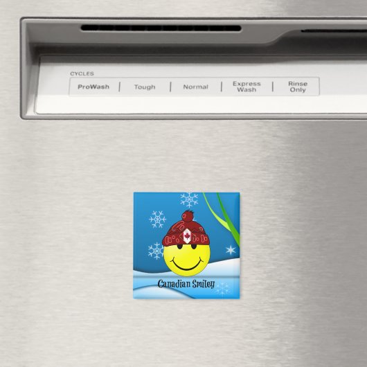 Canadees Magneet (Insitu (Vaatwasser))