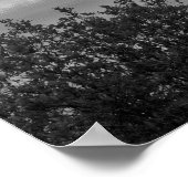 Canadees Poster (Hoek)