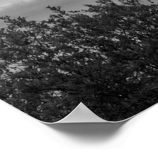 Canadees Poster (Hoek)