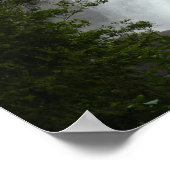 Canadees Poster Waterfall Poster (Hoek)