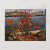 Canadees schilder-meer en rode boom van Tom Thomso Briefkaart (Voorkant)