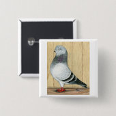 Canadees Show Tippler Blue Grizzle Vierkante Button 5,1 Cm (Voorkant /achterkant)