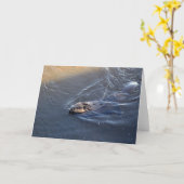 Canadees Wenskaart voor wilde fauna Kaart (Gele Bloem)