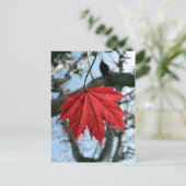 Canadese aple Leaf Briefkaart (Staand voorkant)