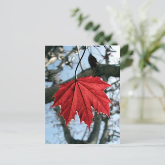 Canadese aple Leaf Briefkaart (Staand voorkant)