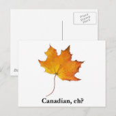 Canadese aple Leaf Briefkaart (Voorkant / Achterkant)