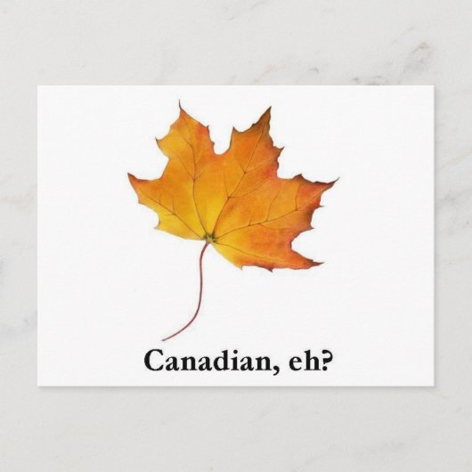 Canadese aple Leaf Briefkaart (Voorkant)