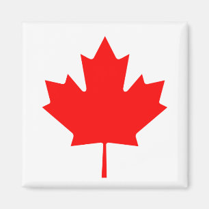 Canadese aple Leaf Magneet