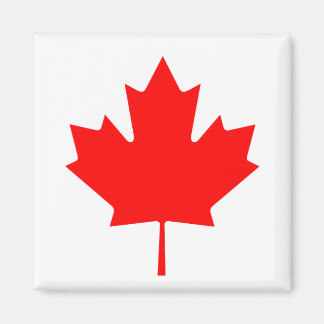 Canadese aple Leaf Magneet