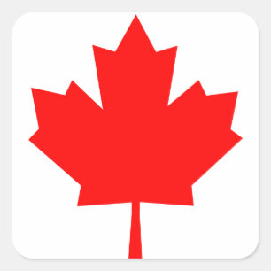 Canadese aple Leaf Vierkante Sticker