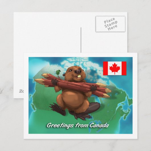 Canadese bever briefkaart (Voorkant / Achterkant)