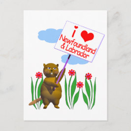 Canadese Bever Houdt van Newfoundland en Labrador Briefkaart