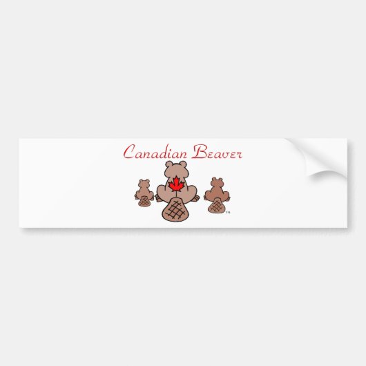 Canadese Bever Sticker (Voorkant)