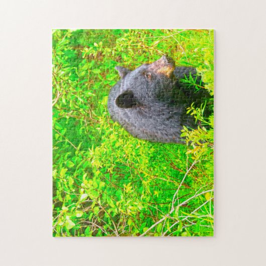 Canadese bruine Beren. Legpuzzel (Verticaal)