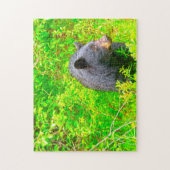 Canadese bruine Beren. Legpuzzel (Verticaal)