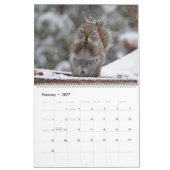 Canadese data 2024, Groot, Mr. Bickles muur Kalender (Feb 2027)