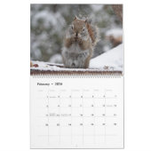 Canadese data 2024, Groot, Mr. Bickles muur Kalender (Feb 2026)