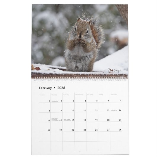 Canadese data 2024, Groot, Mr. Bickles muur Kalender (Feb 2026)