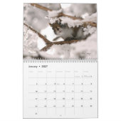 Canadese data 2024, Medium, Mr. Bickles muur Kalender (Jan 2027)
