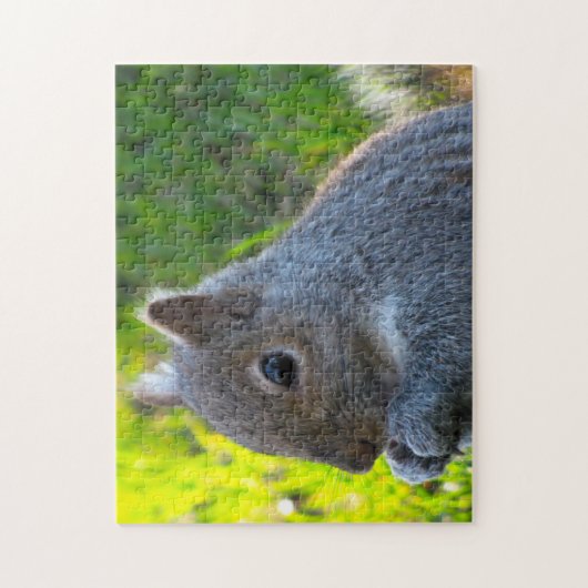 Canadese eekhoorns legpuzzel (Verticaal)