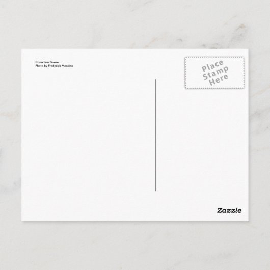Canadese gans briefkaart (Achterkant)
