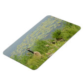 Canadese Gans door Water Lillies Flexibele Magnet Magneet (Linkerzijde)