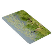 Canadese Gans door Water Lillies Flexibele Magnet Magneet (Rechterzijde)