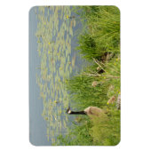 Canadese Gans door Water Lillies Flexibele Magnet Magneet (Verticaal)