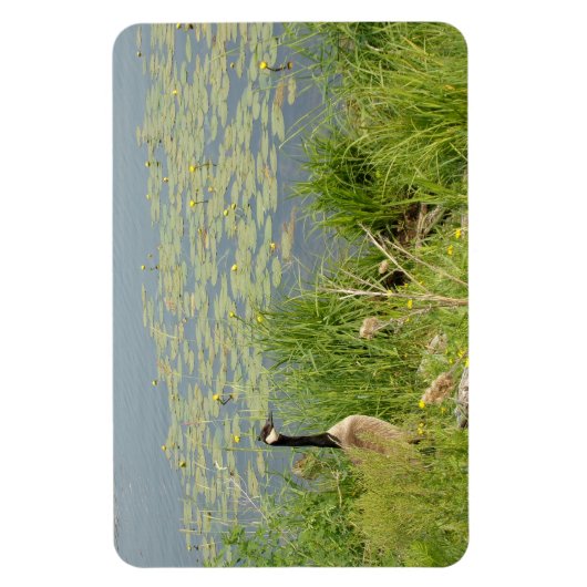 Canadese Gans door Water Lillies Flexibele Magnet Magneet (Verticaal)