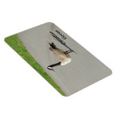 Canadese gans flexibele magneet (Rechterzijde)